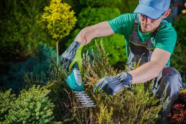 landscaping services Essexville